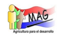 MAG
